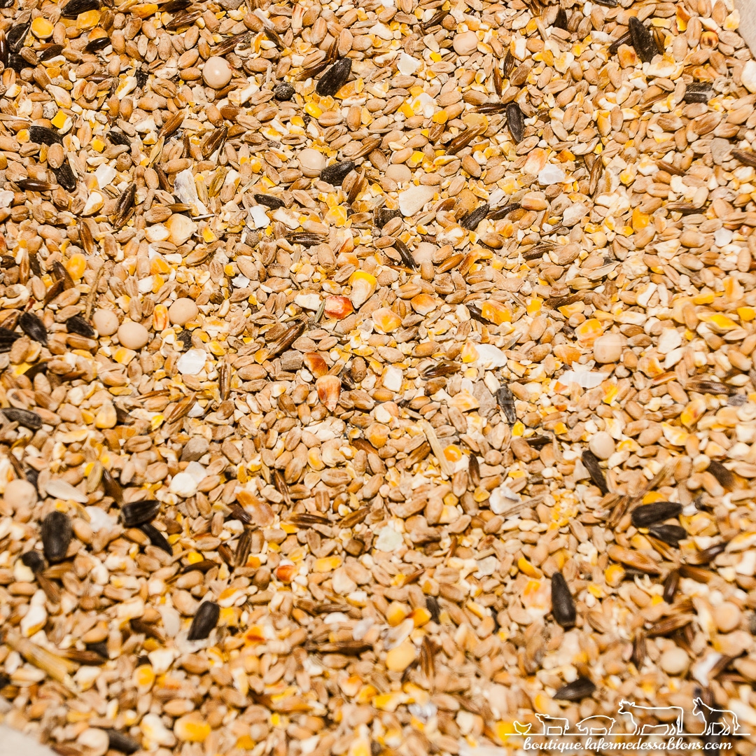 Mélange de graines concassées pour poules 25kg - Animalis